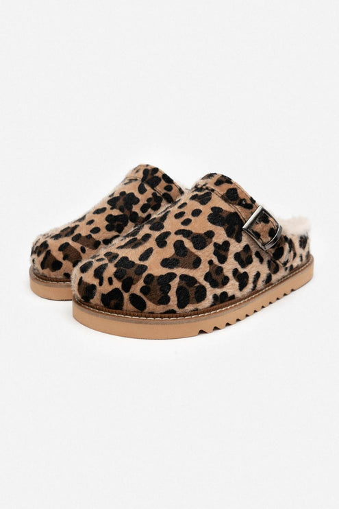 Glady slipper - Tiger